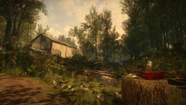 Новые свидетельства существования PC-версии Everybody's Gone to the Rapture
